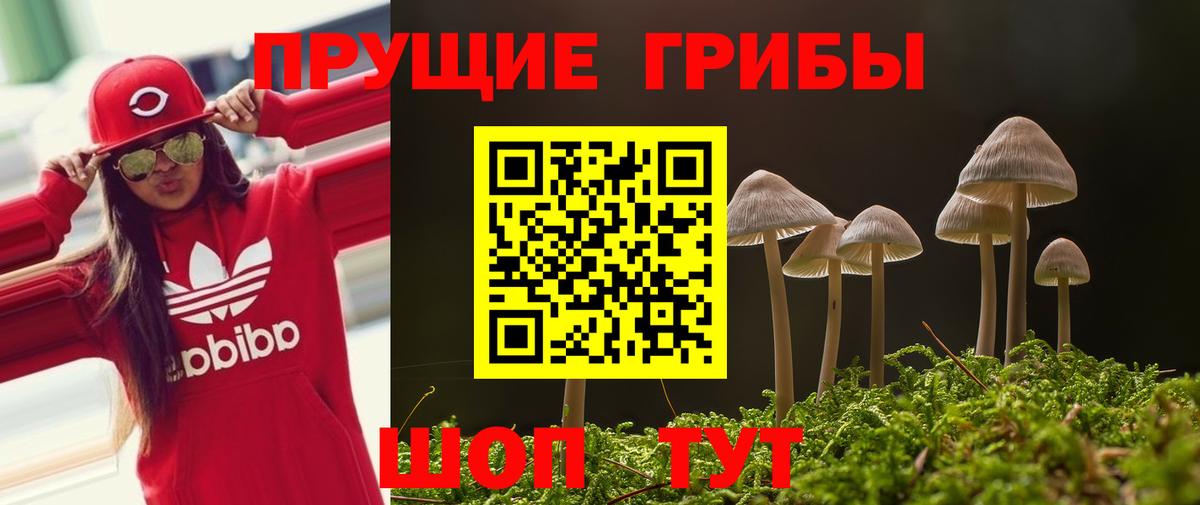 Псилоцибиновые грибы прущие грибы Рыбинск